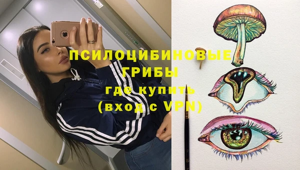 спиды Арсеньев