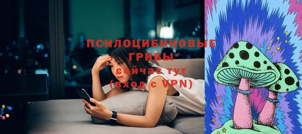спиды Арсеньев