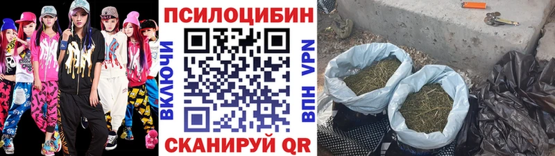 купить наркоту Аша Псилоцибиновые грибы MAGIC MUSHROOMS