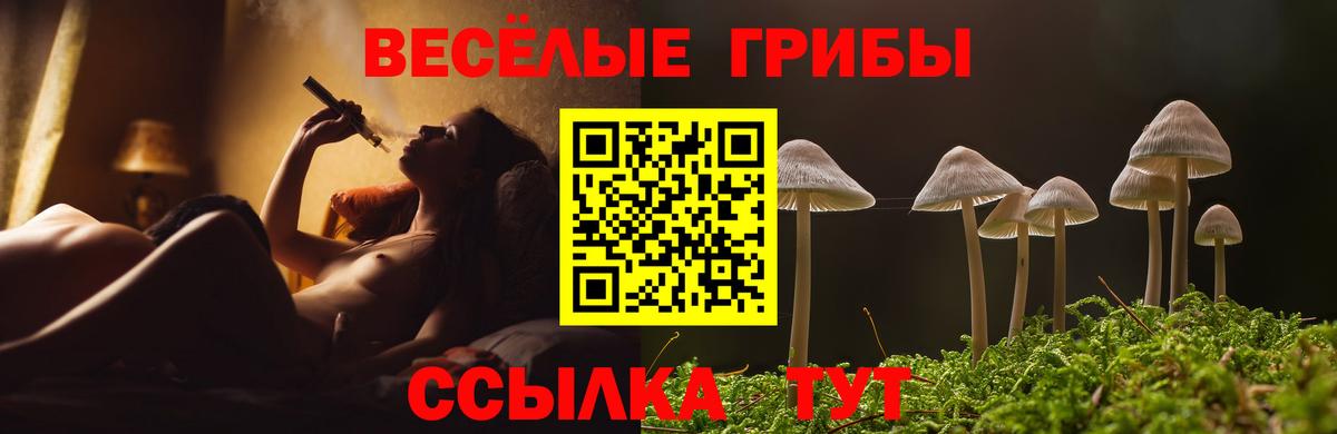 Псилоцибиновые грибы Magic Shrooms  цены   Аша  Псилоцибиновые грибы Psilocybine cubensis  Вход с VPN 